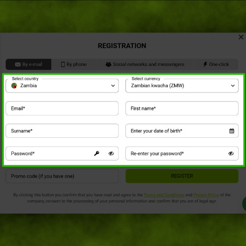 Fill in your personal information
